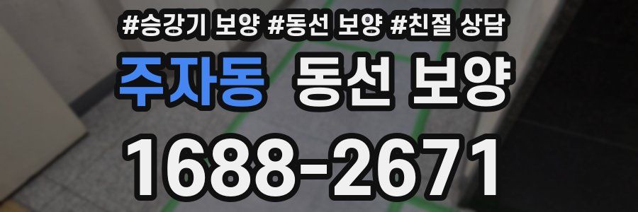 주자동 동선 보양