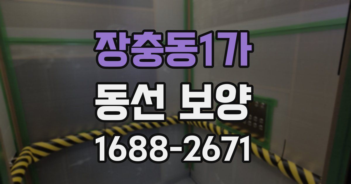 장충동1가 동선 보양