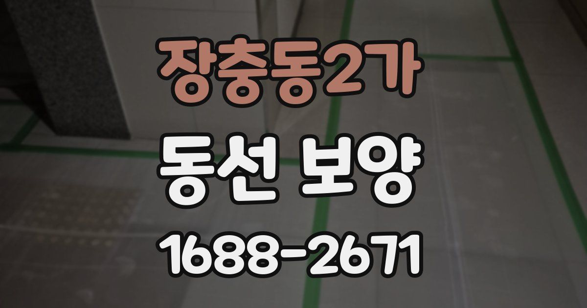 장충동2가 동선 보양