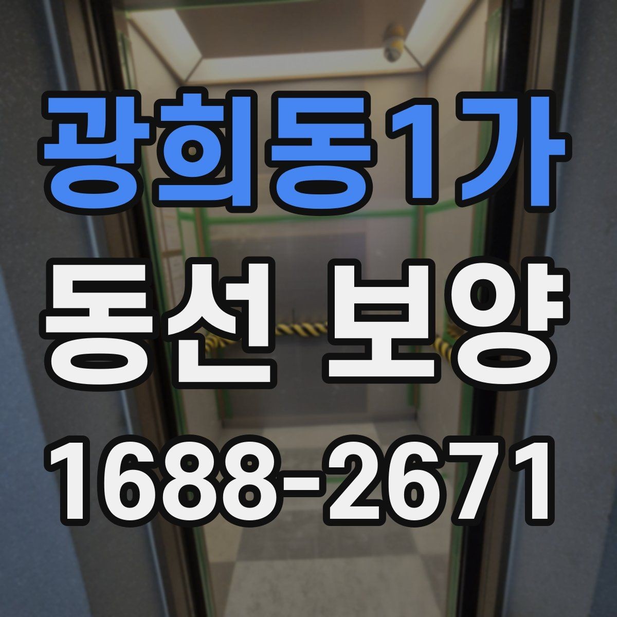 광희동1가 동선 보양 작업 후 관리 방법 안내