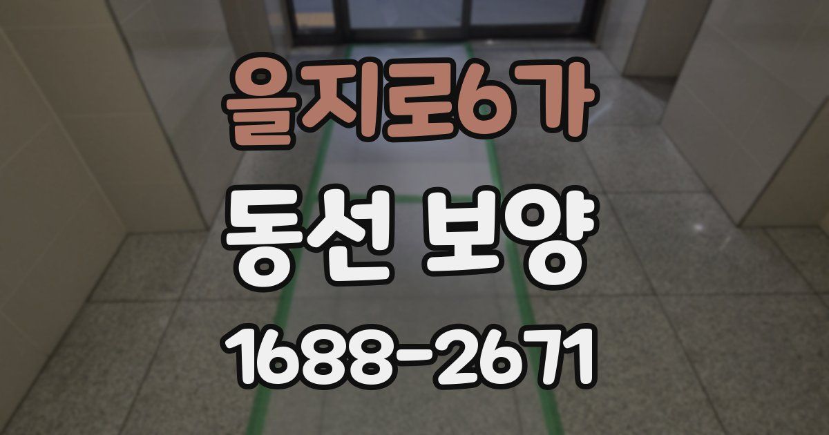 을지로6가 동선 보양