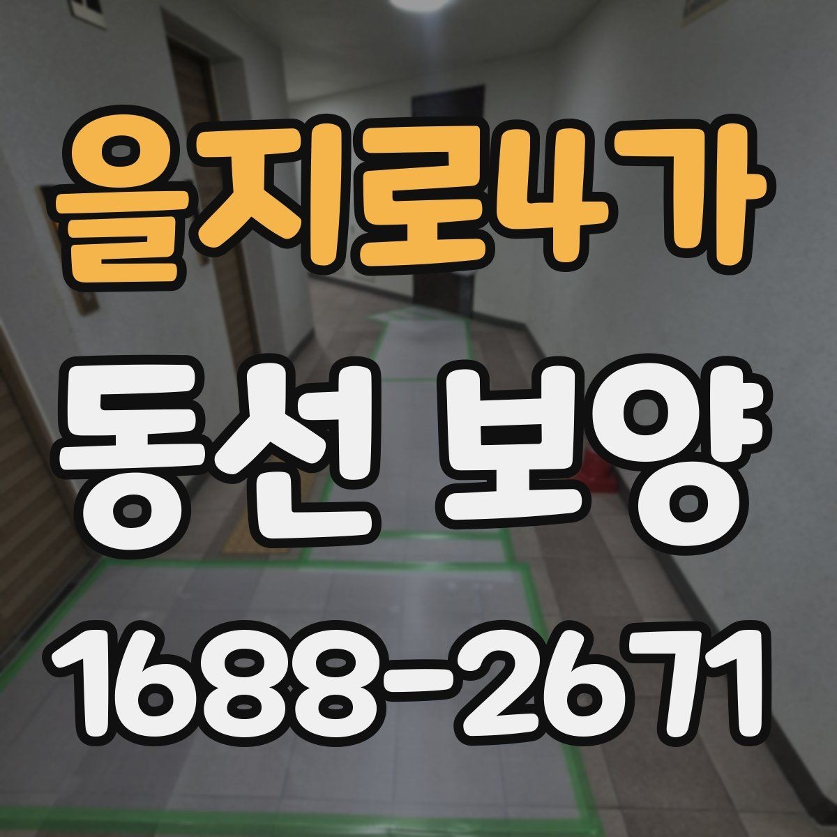 을지로4가 동선 보양 현장 사진으로 보는 작업 진행 순서