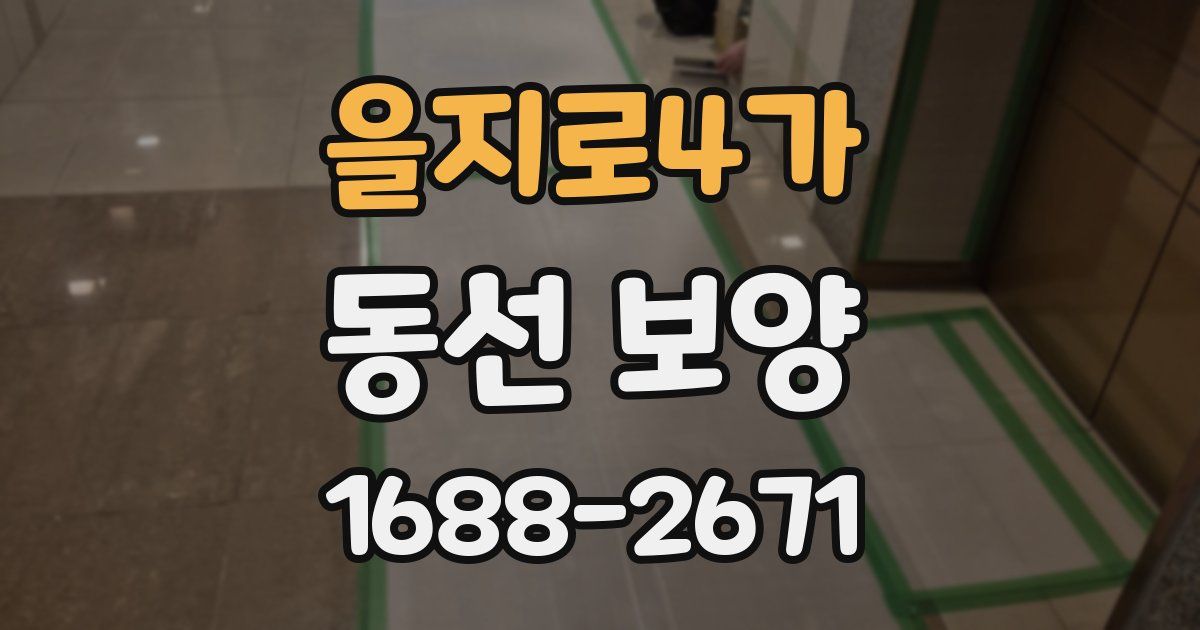을지로4가 동선 보양