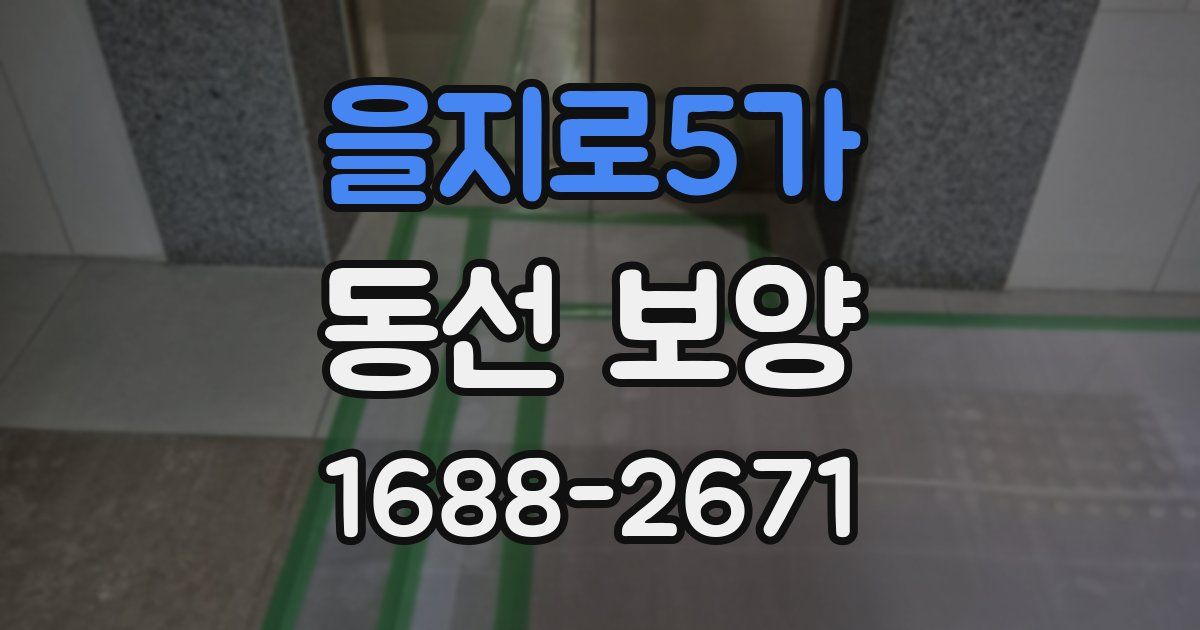 을지로5가 동선 보양