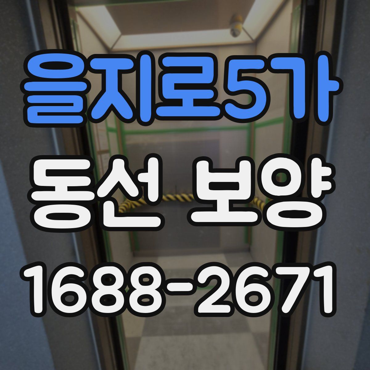 을지로5가 동선 보양
