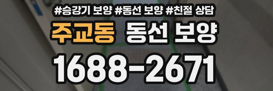 주교동 동선 보양