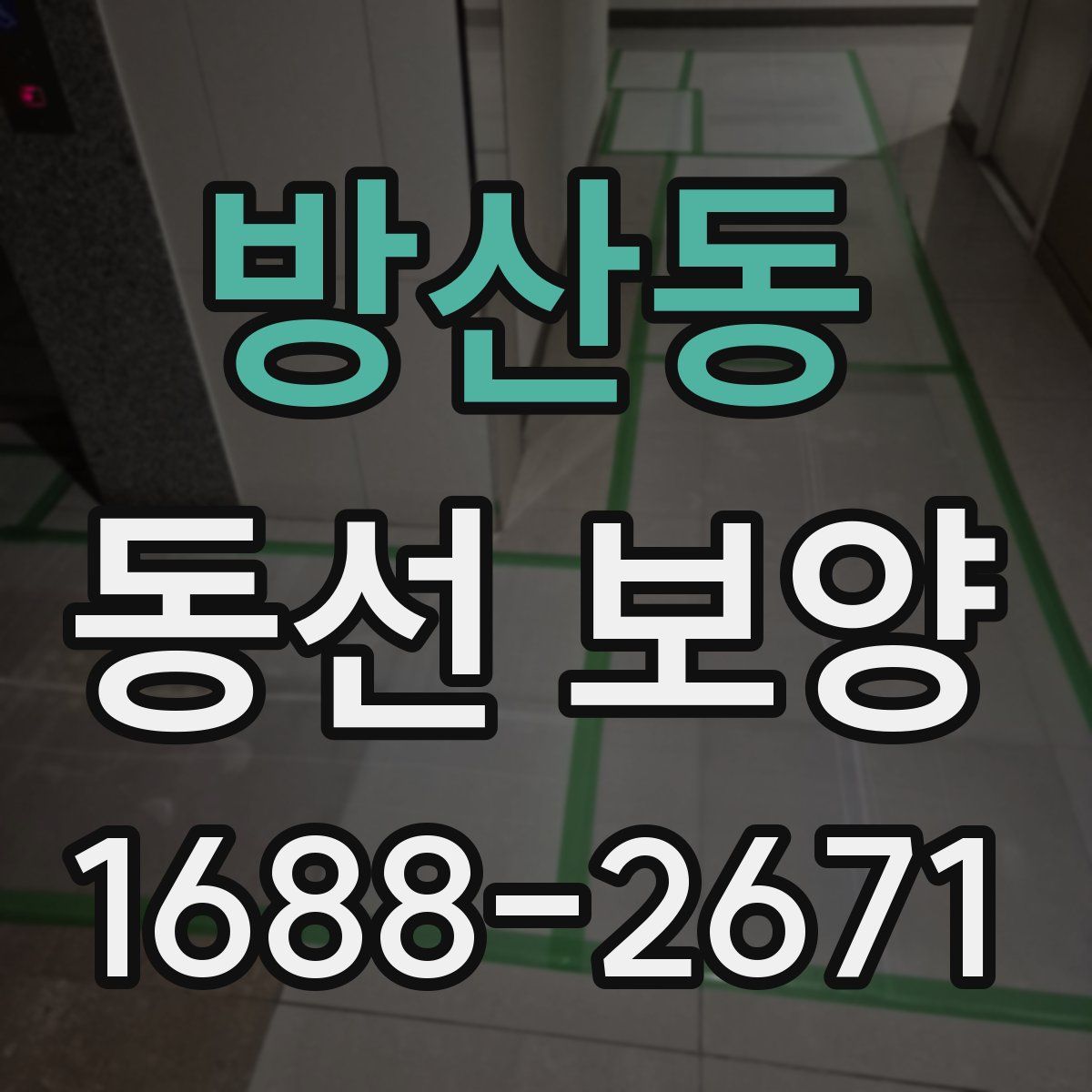 방산동 동선 보양
