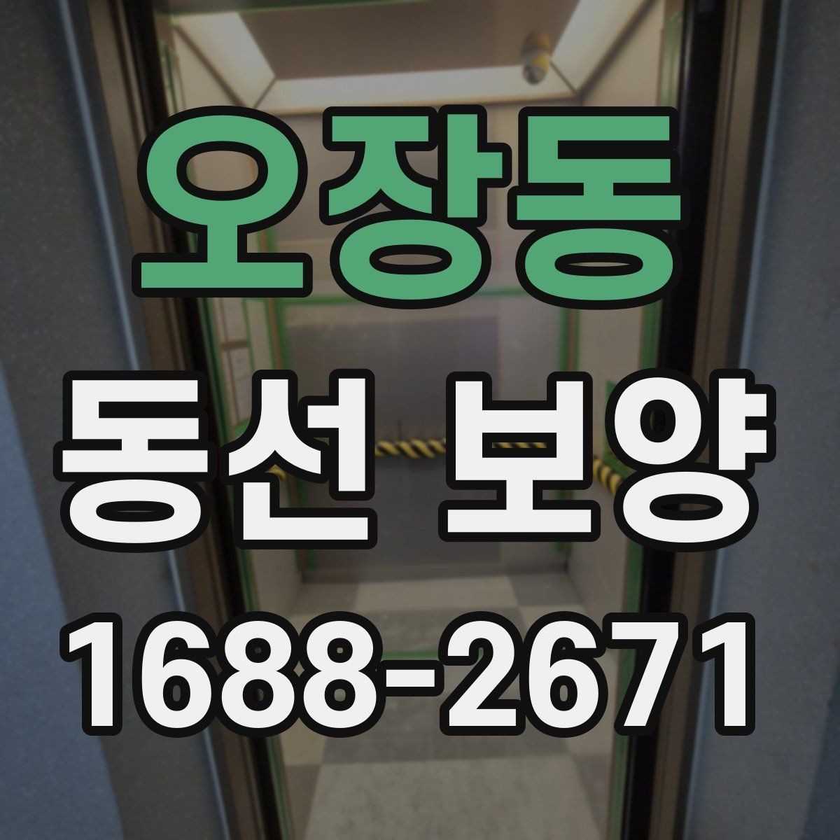 오장동 동선 보양 품질을 높이는 현장 준비