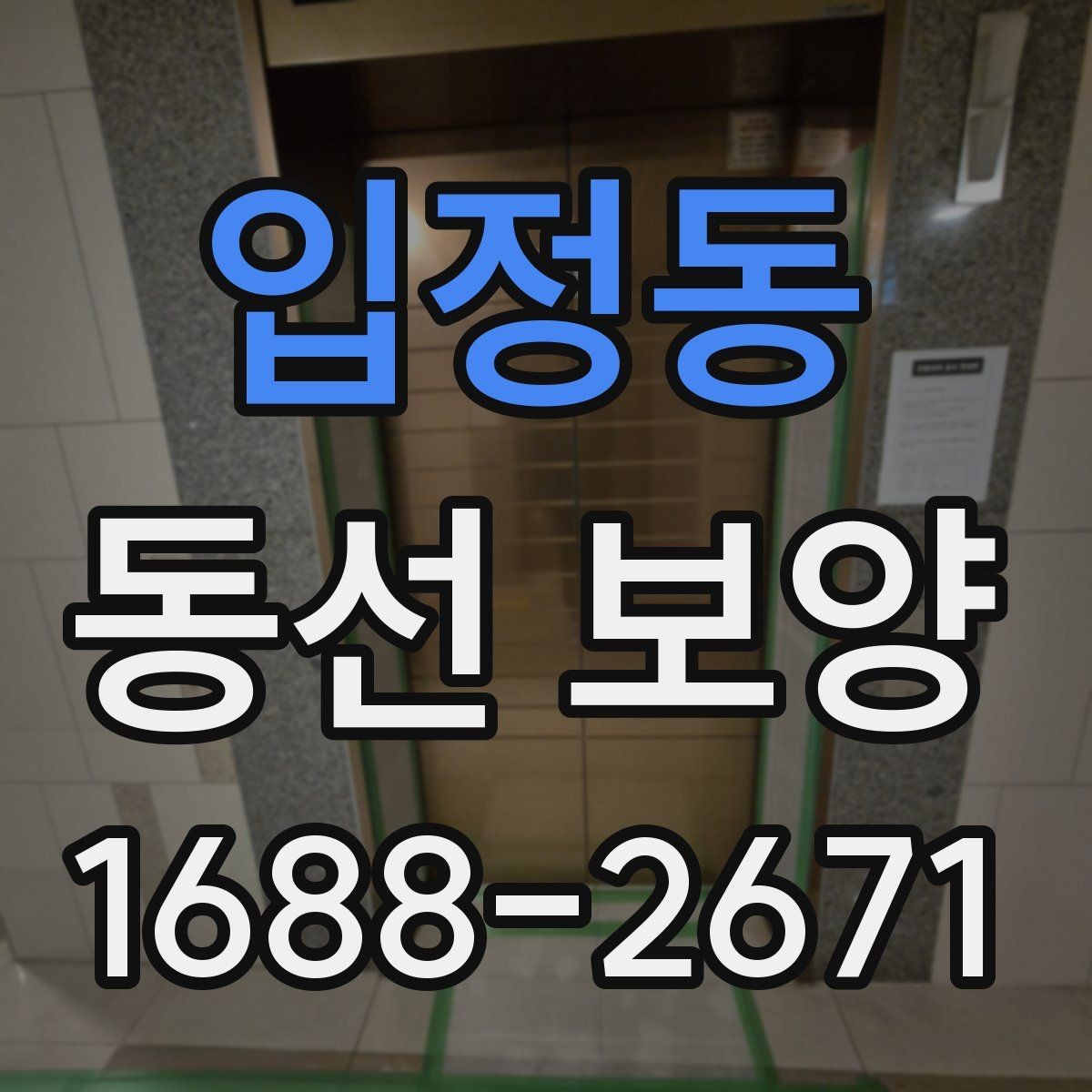 입정동 동선 보양 작업의 품질을 판단하는 기준