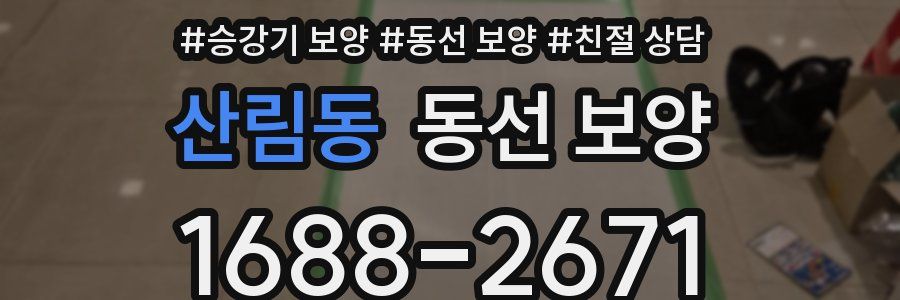 산림동 동선 보양