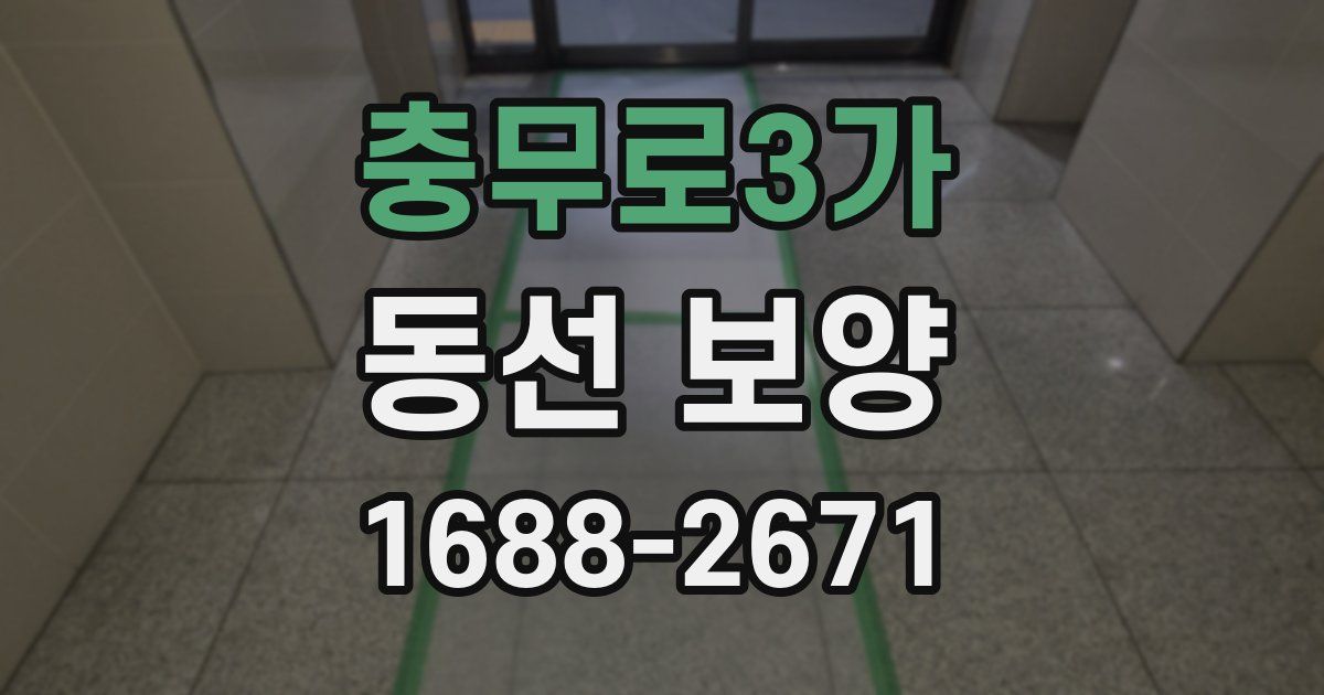 충무로3가 동선 보양