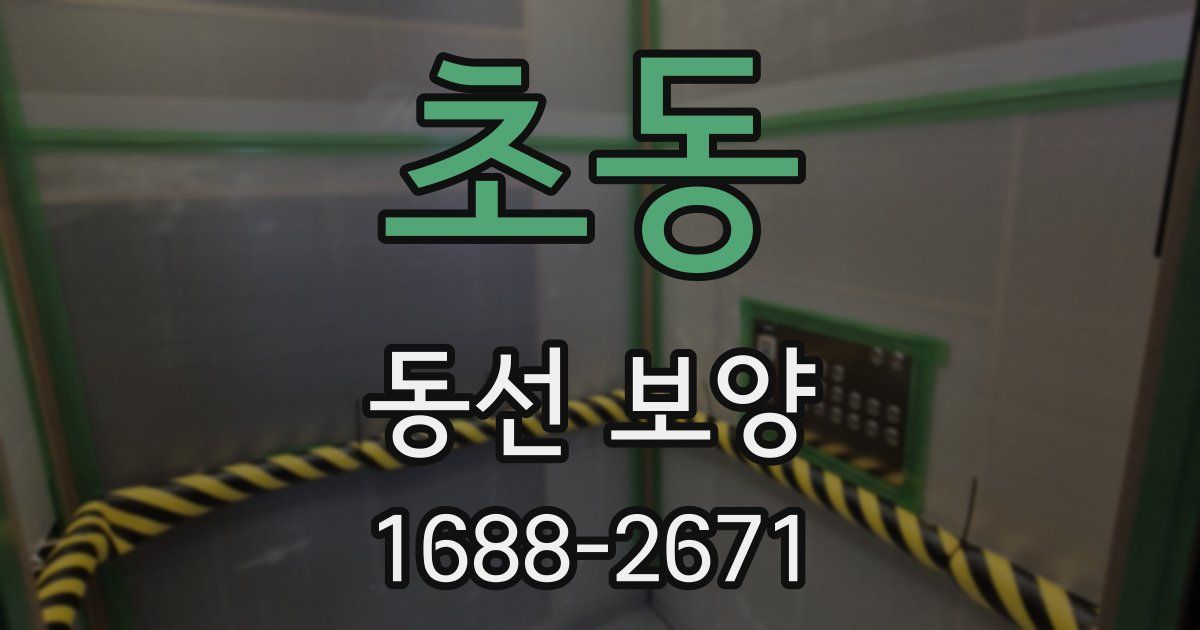 초동 동선 보양