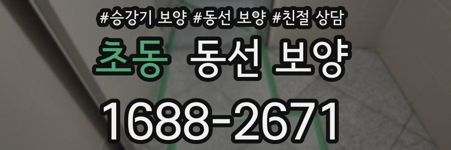 초동 동선 보양