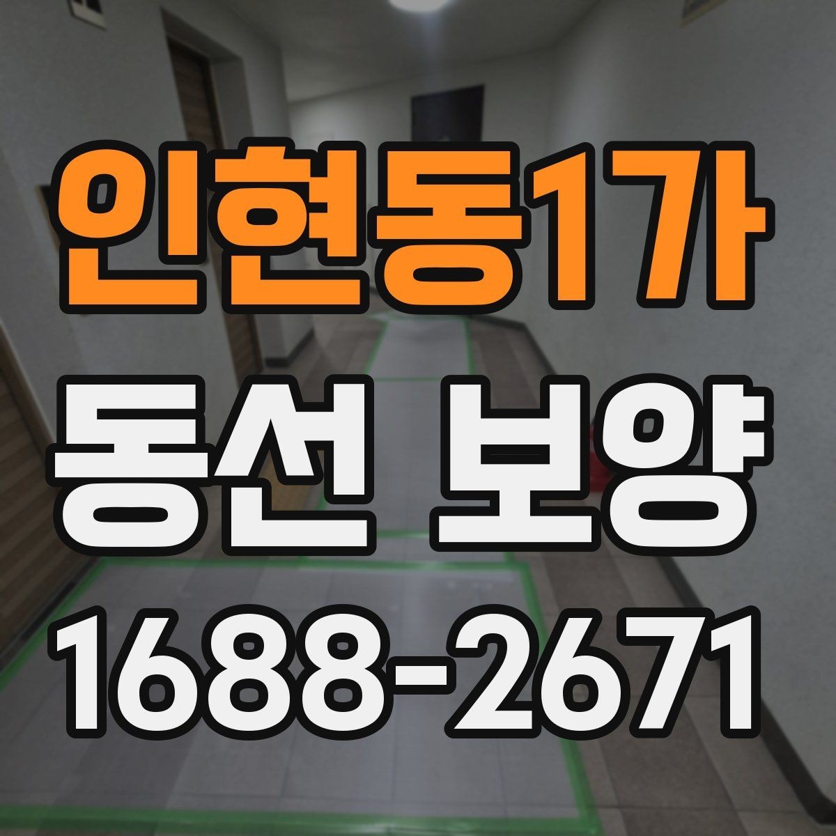 인현동1가 동선 보양 선택 전 확인하면 좋은 기준