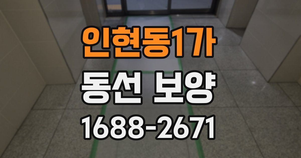 인현동1가 동선 보양