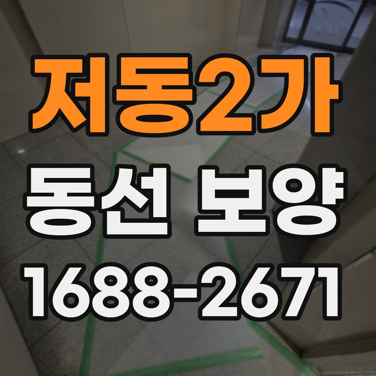 저동2가 동선 보양