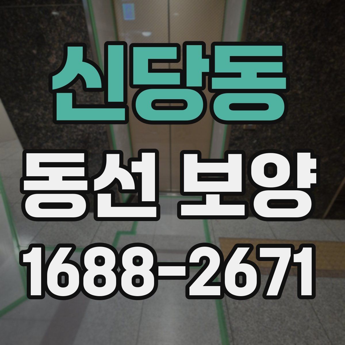 신당동 동선 보양 자재별 활용처와 선택 팁