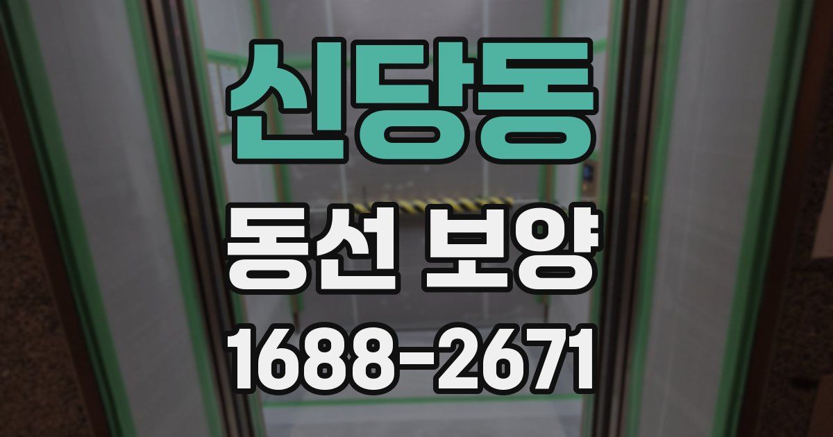 신당동 동선 보양