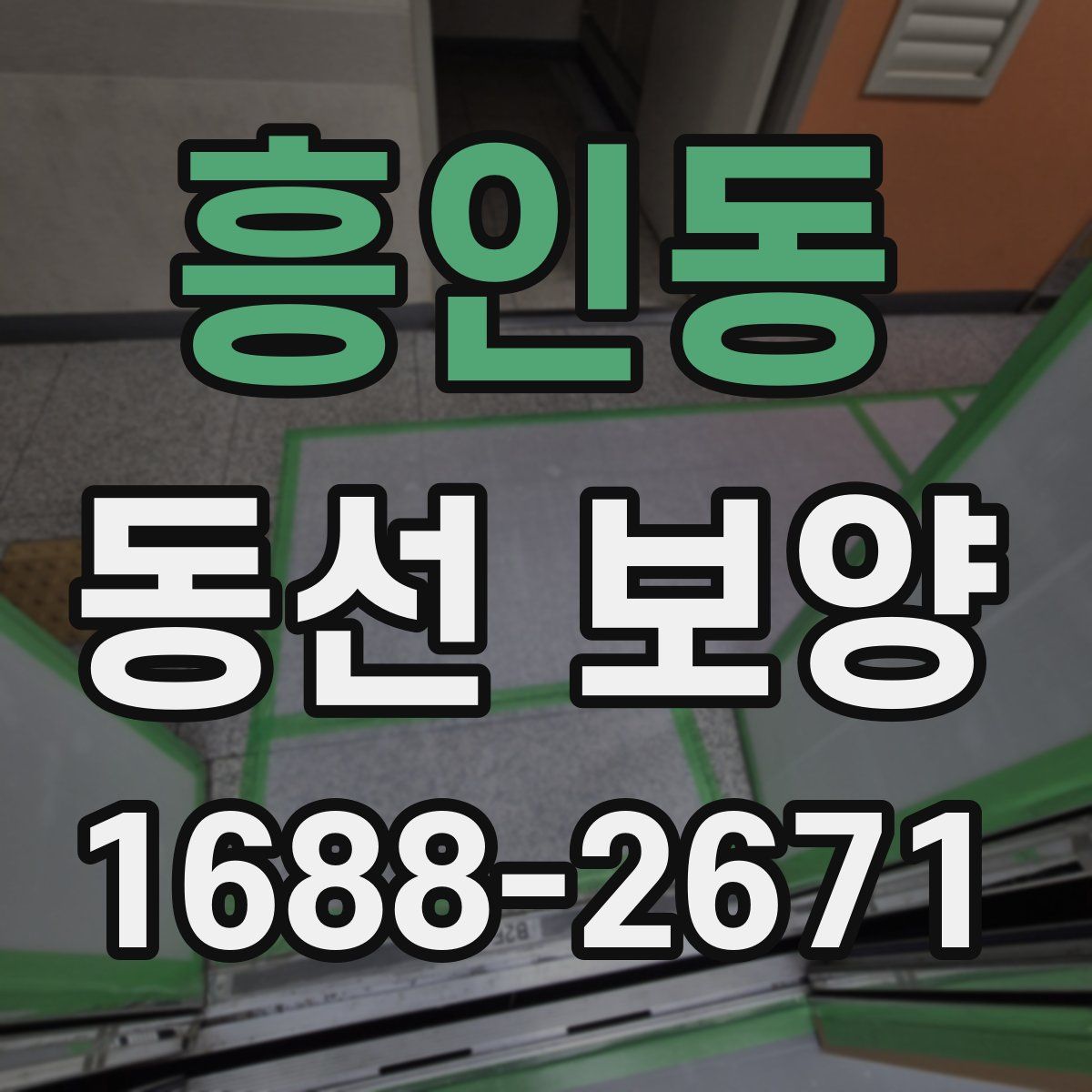 흥인동 동선 보양