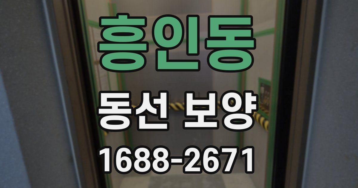 흥인동 동선 보양
