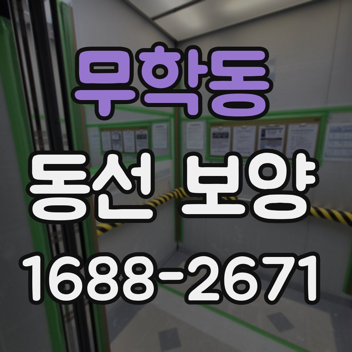 무학동 동선 보양