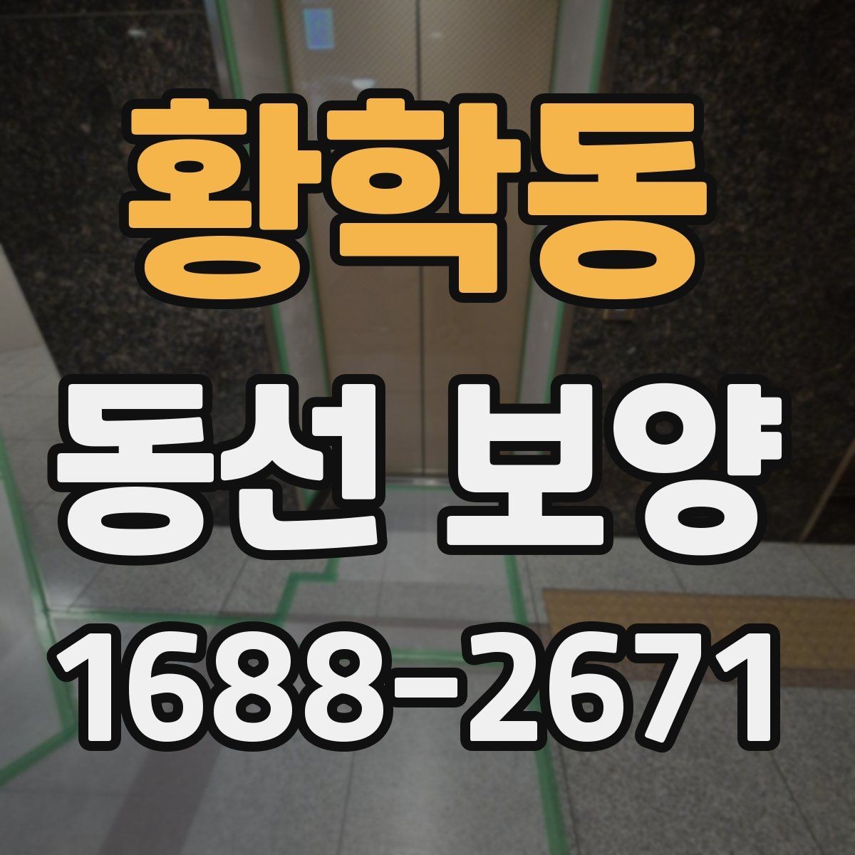 황학동 동선 보양 현장에 맞춘 보호 대책 세우기