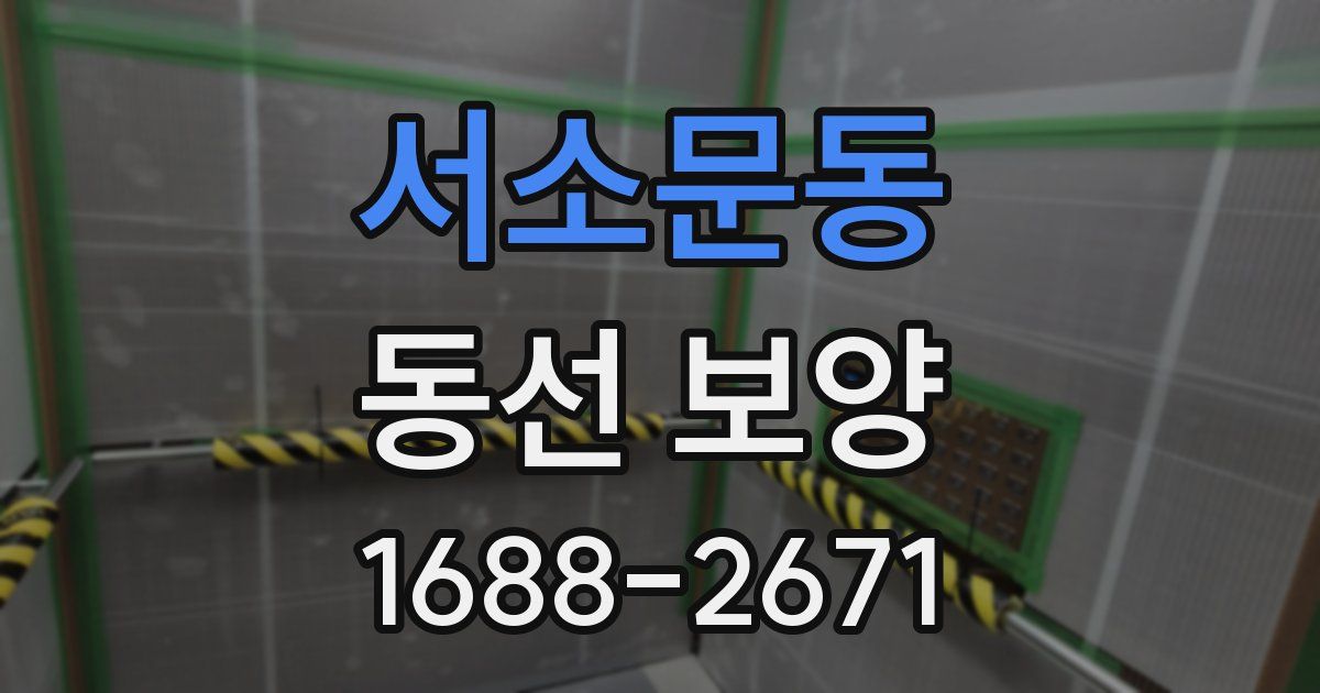 서소문동 동선 보양
