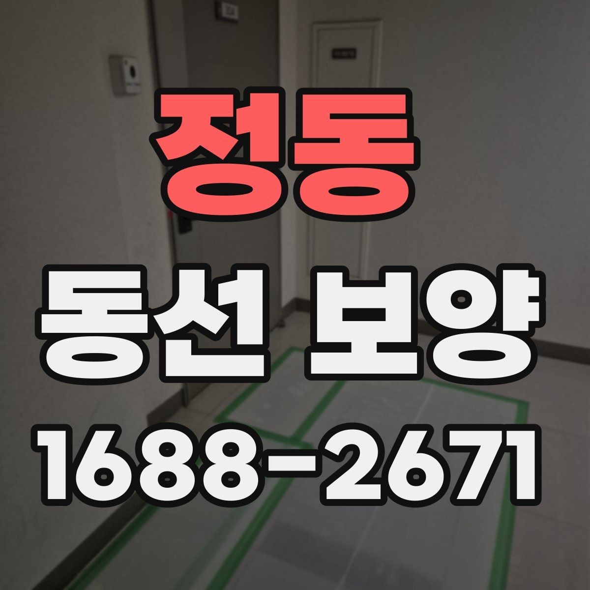 정동 동선 보양 실수 줄이는 현장 관리법