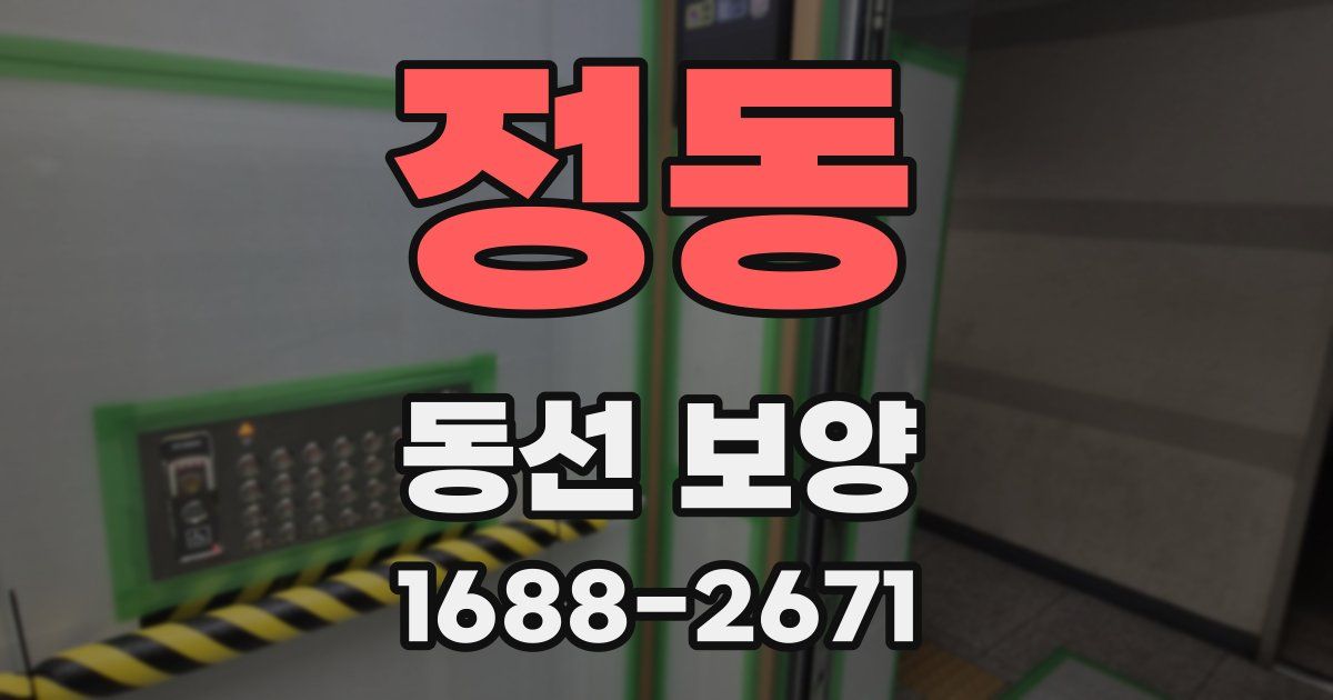 정동 동선 보양