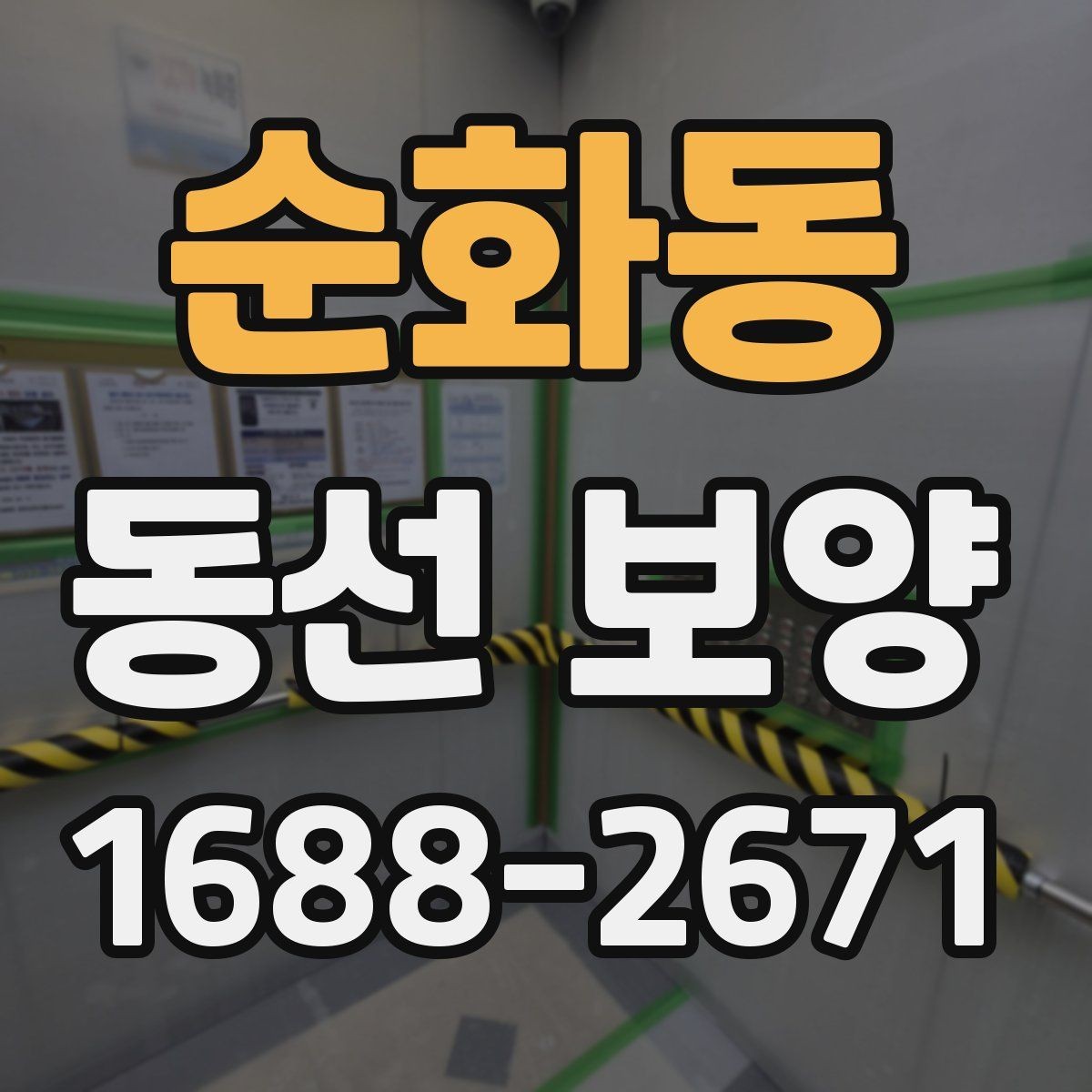순화동 동선 보양 비용과 품질의 균형 잡기