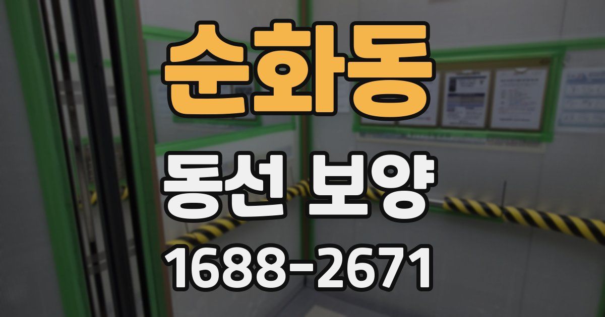 순화동 동선 보양