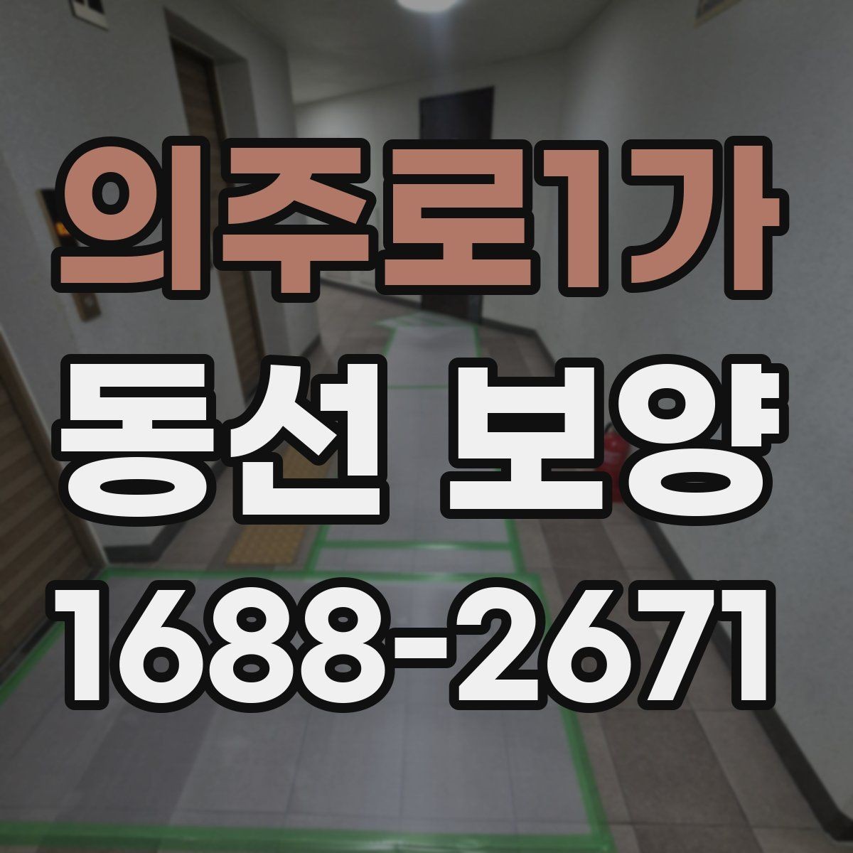 의주로1가 동선 보양 자재 선택 시 살펴볼 기준