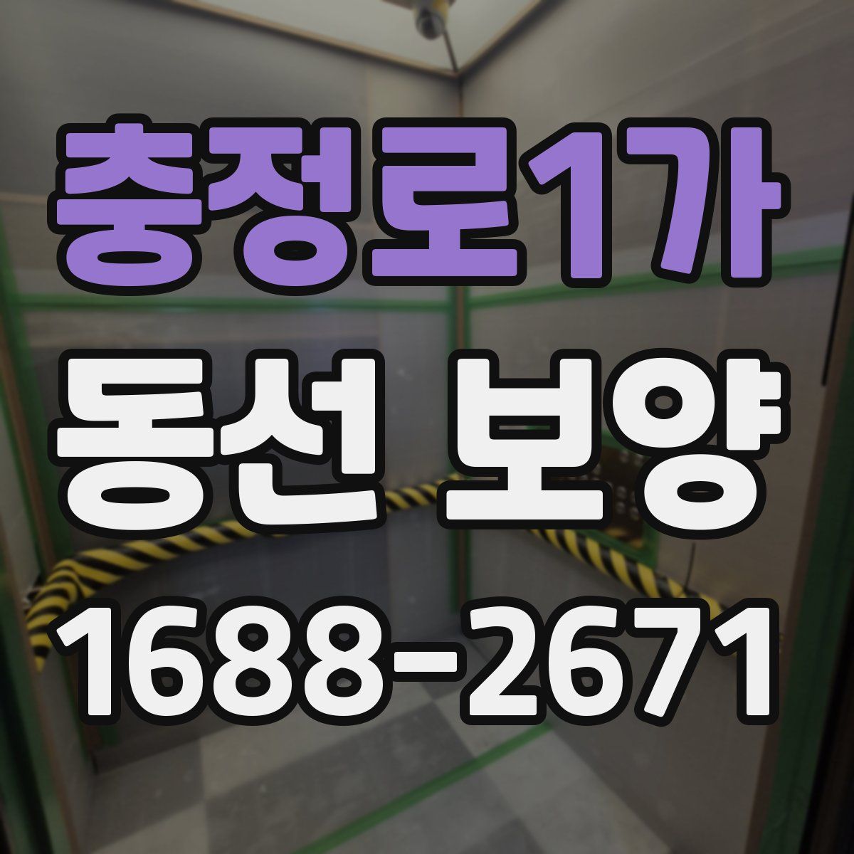 충정로1가 동선 보양