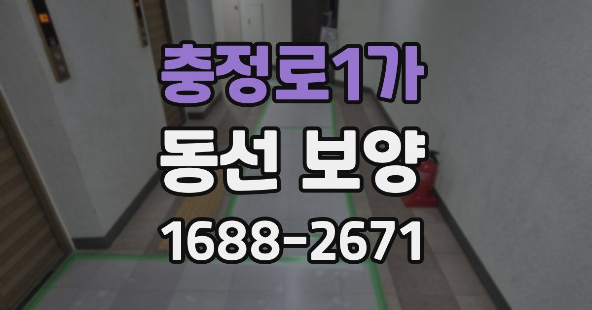 충정로1가 동선 보양