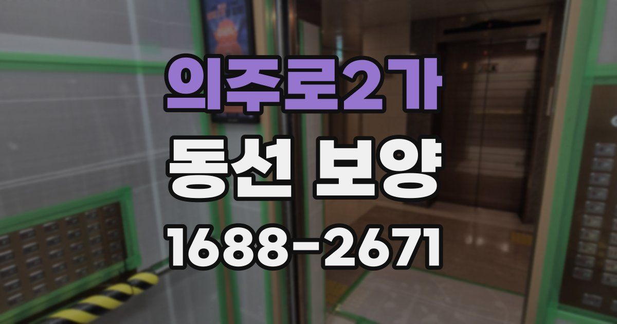의주로2가 동선 보양
