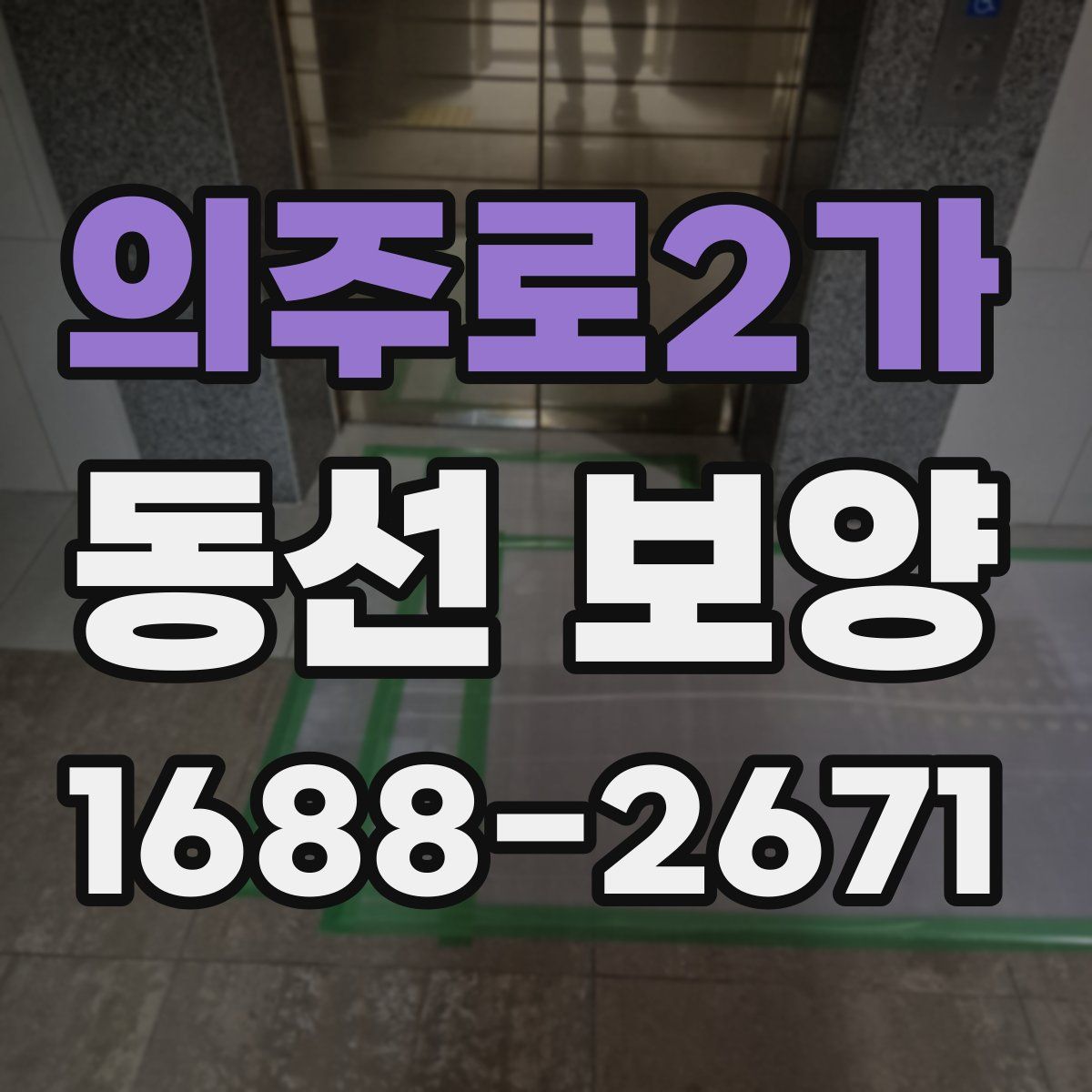 의주로2가 동선 보양