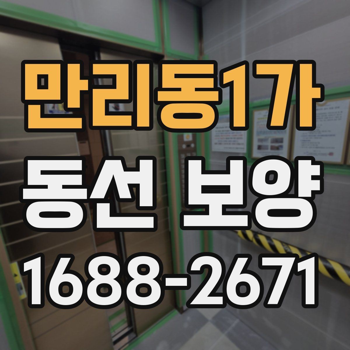만리동1가 동선 보양 비용 산정에 영향을 주는 요소