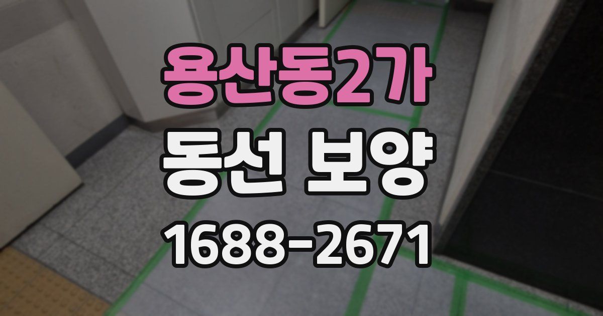 용산동2가 동선 보양