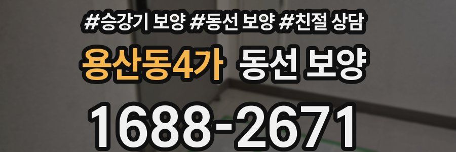 용산동4가 동선 보양