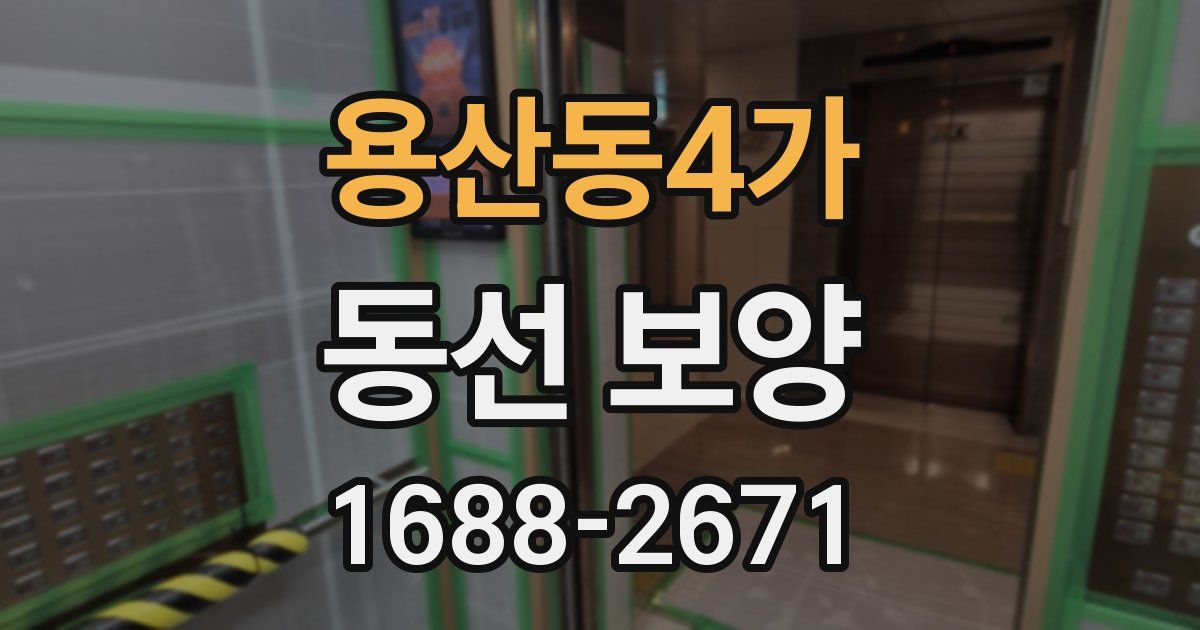 용산동4가 동선 보양