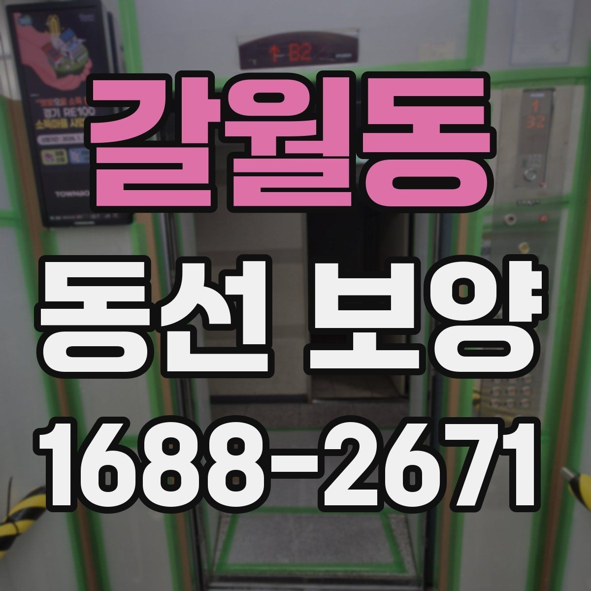 갈월동 동선 보양 작업의 효율을 높이는 준비 과정
