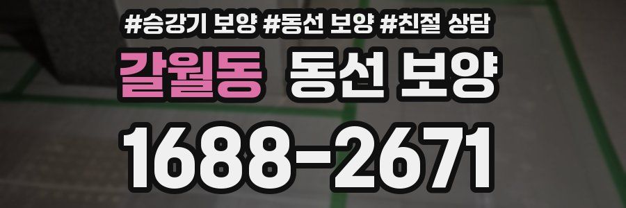 갈월동 동선 보양