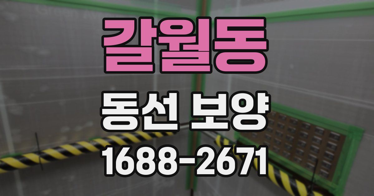 갈월동 동선 보양