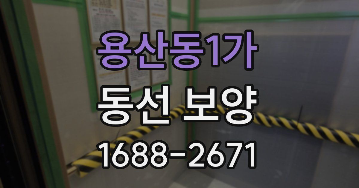 용산동1가 동선 보양