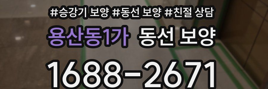 용산동1가 동선 보양