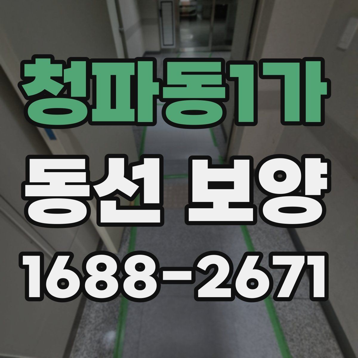 청파동1가 동선 보양 작업에서 마감재 보호가 중요한 이유