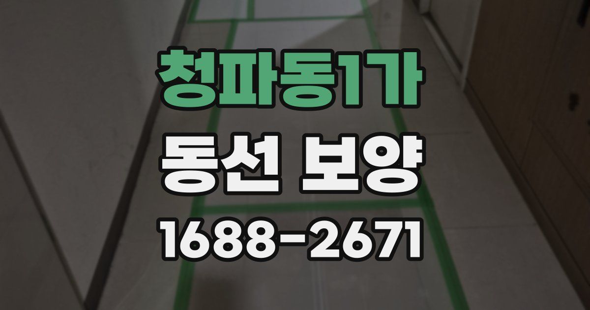 청파동1가 동선 보양