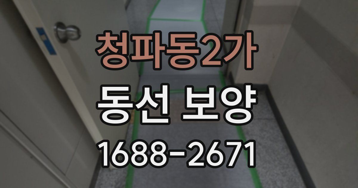 청파동2가 동선 보양