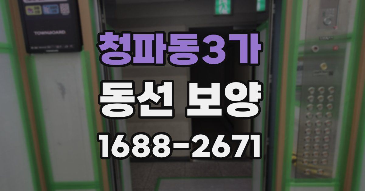 청파동3가 동선 보양