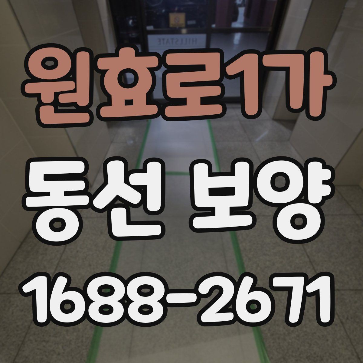 원효로1가 동선 보양 현장별 적용 사례와 특징